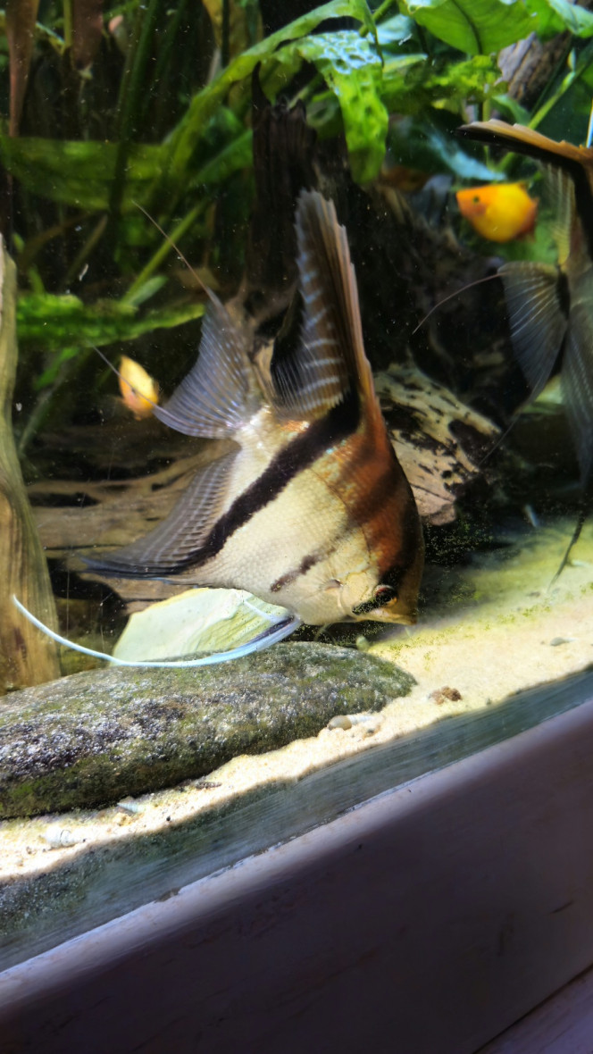 Photographie du post de Aleau 