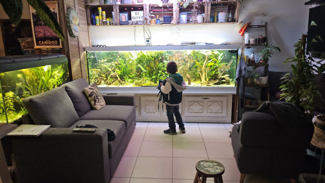 Photographie du post de Aleau 