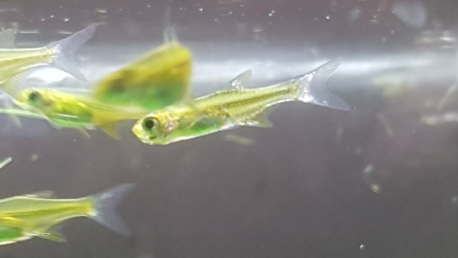 Photographie du post de LiquidPaper2008 