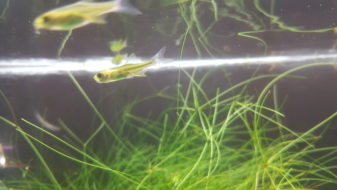 Photographie du post de LiquidPaper2008 