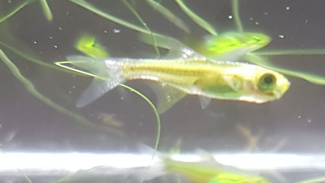 Photographie du post de LiquidPaper2008 