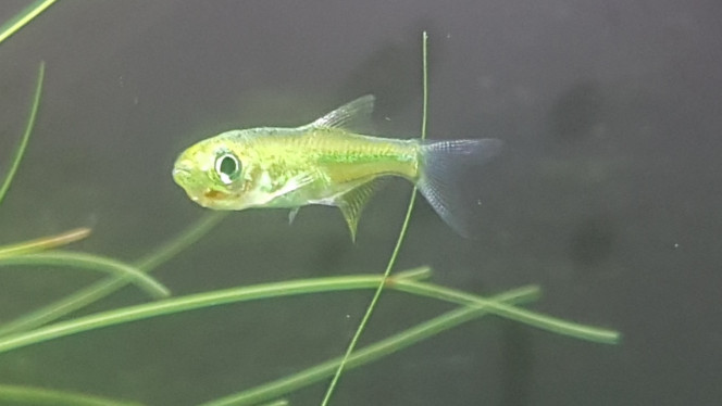 Photographie du post de LiquidPaper2008 