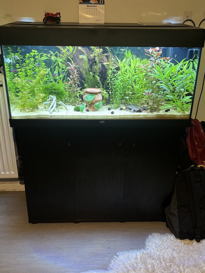 Photographie du post de Jo57100000 