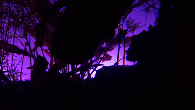 I see a little silhouetto... Le rétro éclairage maison me satisfait.