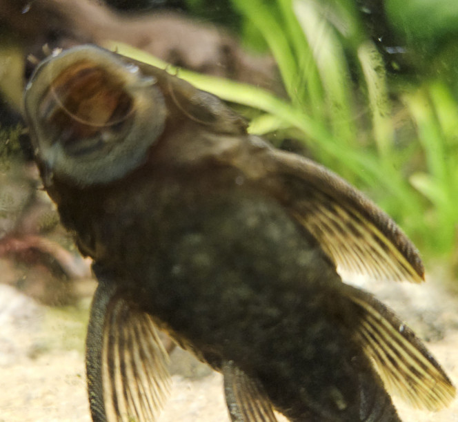 Photographie du post de Aleau 