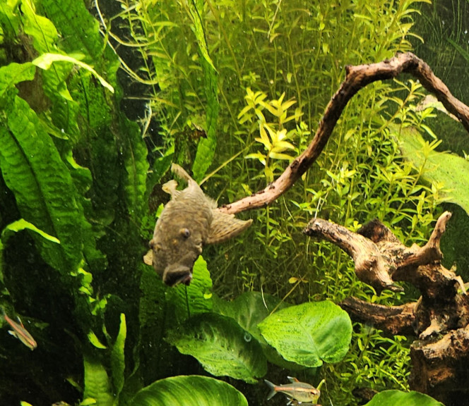 Photographie du post de Aleau 