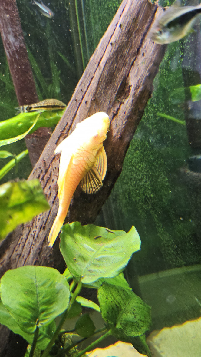 Photographie du post de Aleau 