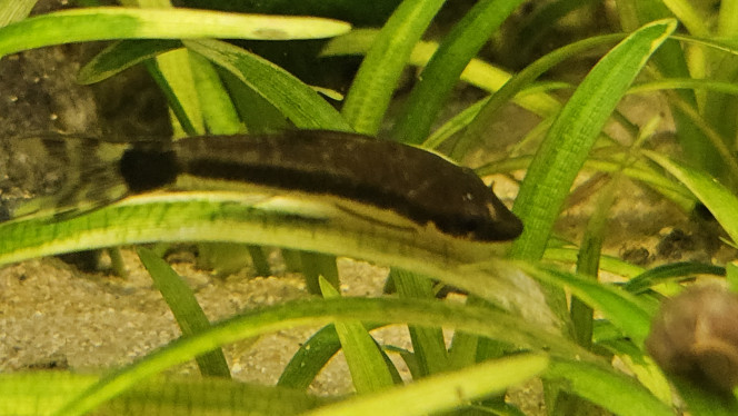 Photographie du post de Aleau 