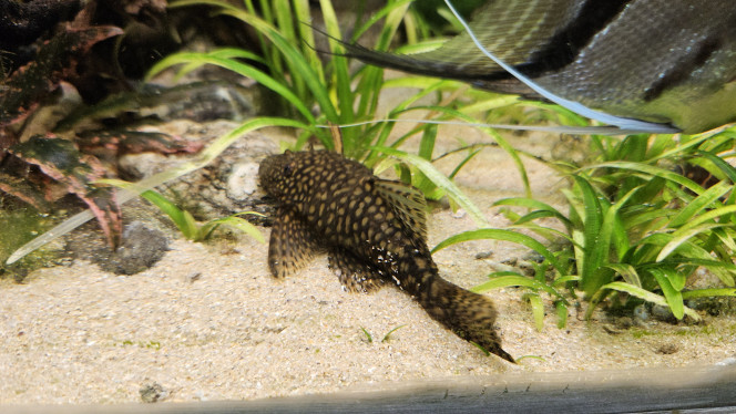 Photographie du post de Aleau 