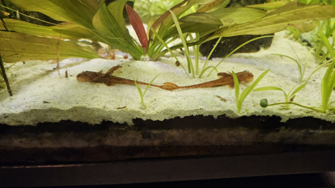 Photographie du post de Aleau 