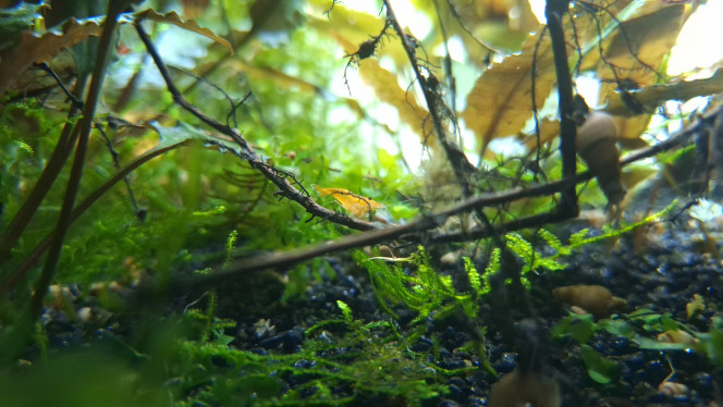 Modification de l'éclairage. J'ai accidentellement modifié l'éclairage ?
Avec le film sur la vitre arrière ça rend plutôt bien.