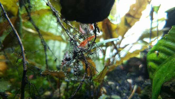 Modification de l'éclairage. J'ai accidentellement modifié l'éclairage ?
Avec le film sur la vitre arrière ça rend plutôt bien.