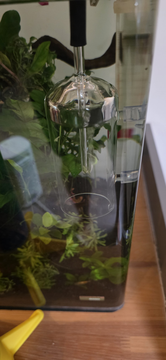 Apport CO2 journalière dans un nano cube Voilà je vous montre comment ajouter du CO2 dans un nano cube manuellement j'utilise une cloche d'oxygénation le trou supérieur de la cloche est bouchée le canot de remplissage serre de niveau le CO2 enfermé dans la cloche va se diffuser toute la journée en moyenne 6 à 8 heures en fonction de vos paramètres si l'apport de CO2 n'est pas assez important on a la possibilité de rajouter un morceau de tuyau à l'intérieur de la cloche pour augmenter le volume du CO2 pour une diffusion un peu plus longue non seulement on fait des économies de CO2 mais ça nous permet aussi d'utiliser des petites capsules de CO2 très bon marché vous pouvez faire votre système avec des mini gonfleur pour vélo qui utilise des capsules de CO2 que vous pouvez trouver chez Decathlon par exemple et je peux vous assurer qu'une petite capsule avec ce système là vous faites des mois aucun gaspillage de CO2 une économie certaine le seul inconvénient c'est que ça doit être fait manuellement une demi-heure avant l'allumage de l'éclairage ne cherchez pas ça dans les manuels d'aquariophilie je suis le seul à faire ça de cette façon et j'avais envie de vous le partager une petite astuce que beaucoup d'entre vous vont apprécier?