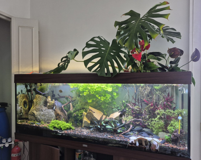 Le bac aujourd'hui ! encore pas mal de changement prévus, mais ca commence a prendre forme