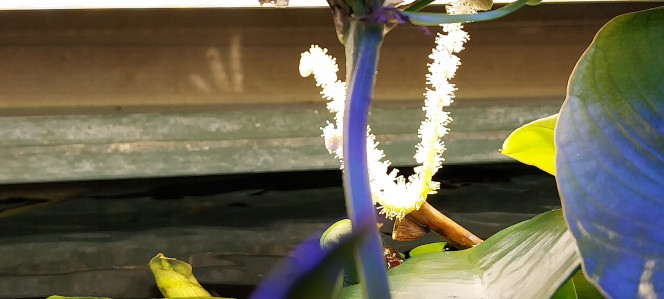 Photographie du post de STK54 