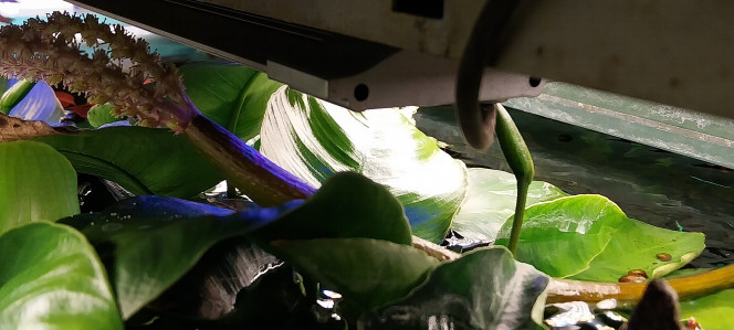 Photographie du post de STK54 