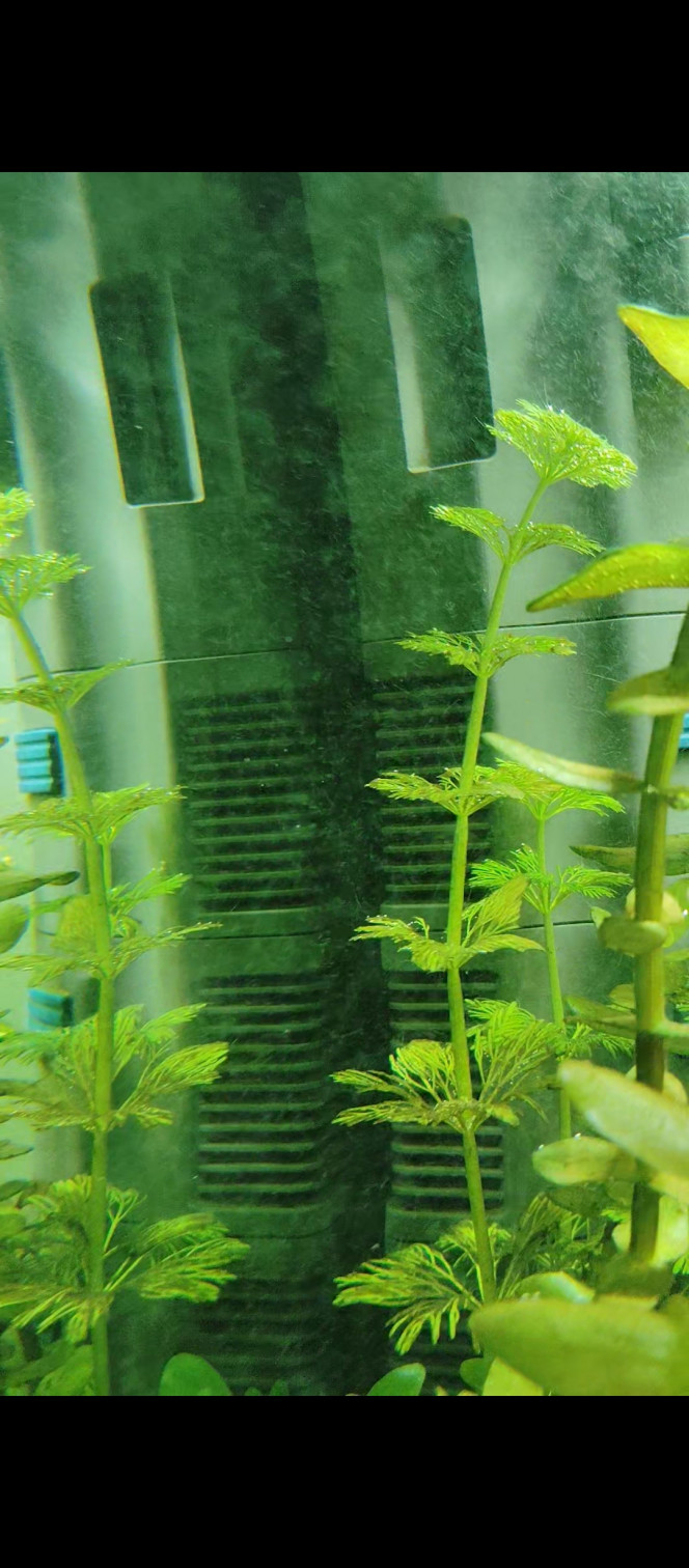 Photographie du post de thomassss 