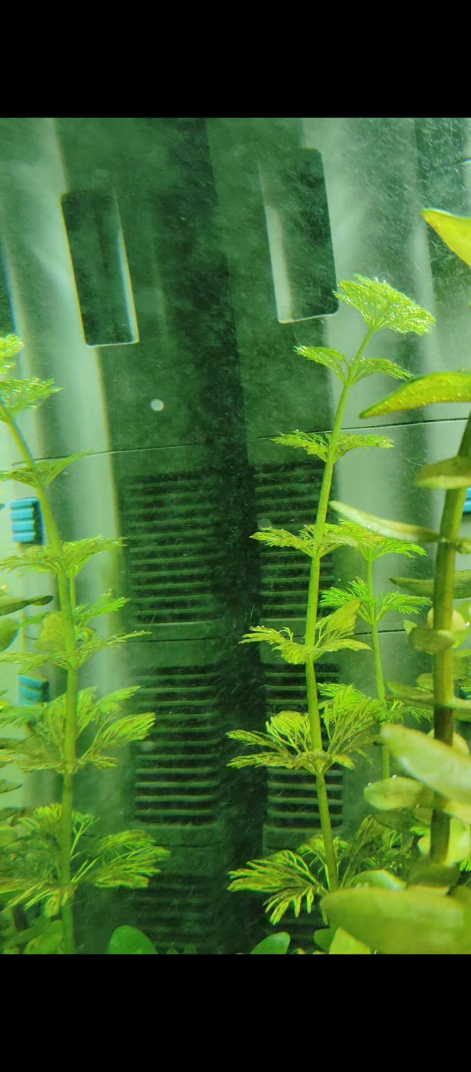 Photographie du post de thomassss 