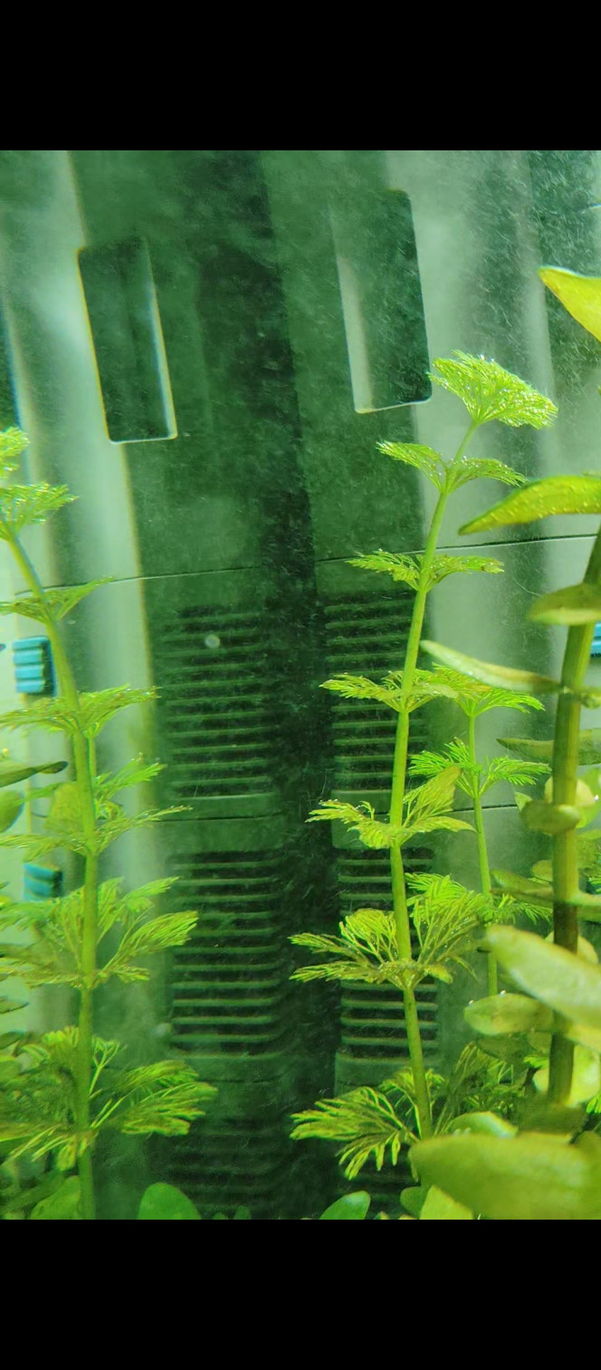 Photographie du post de thomassss 