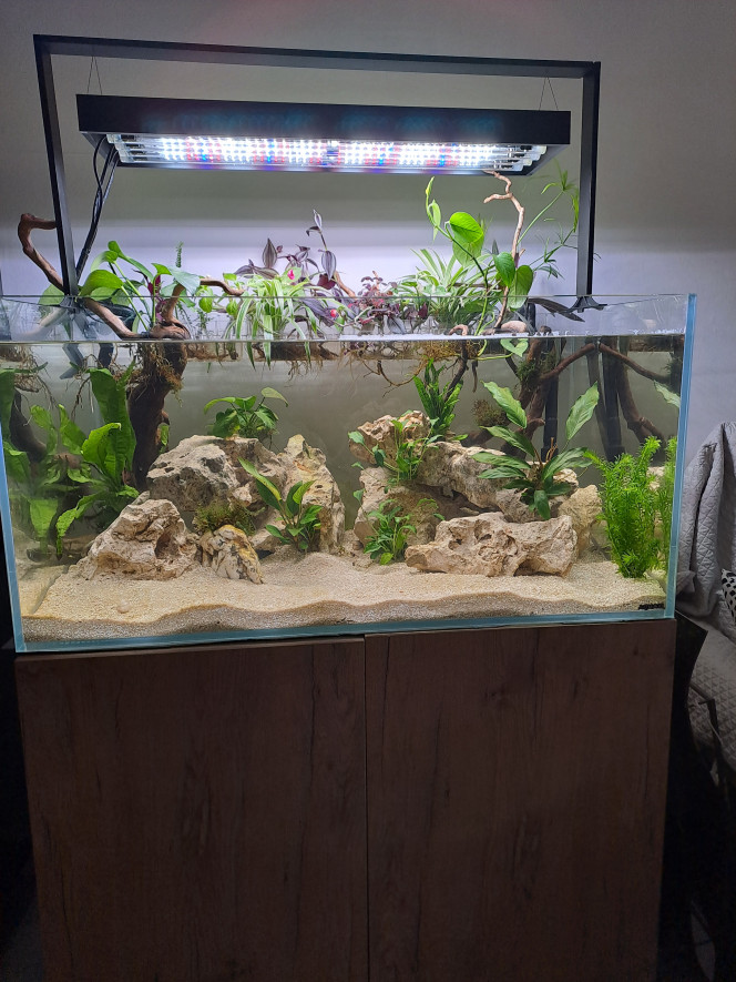 Photographie du post de Silvasud 