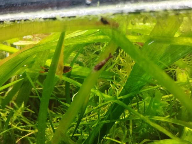 Photographie du post de Orion07 