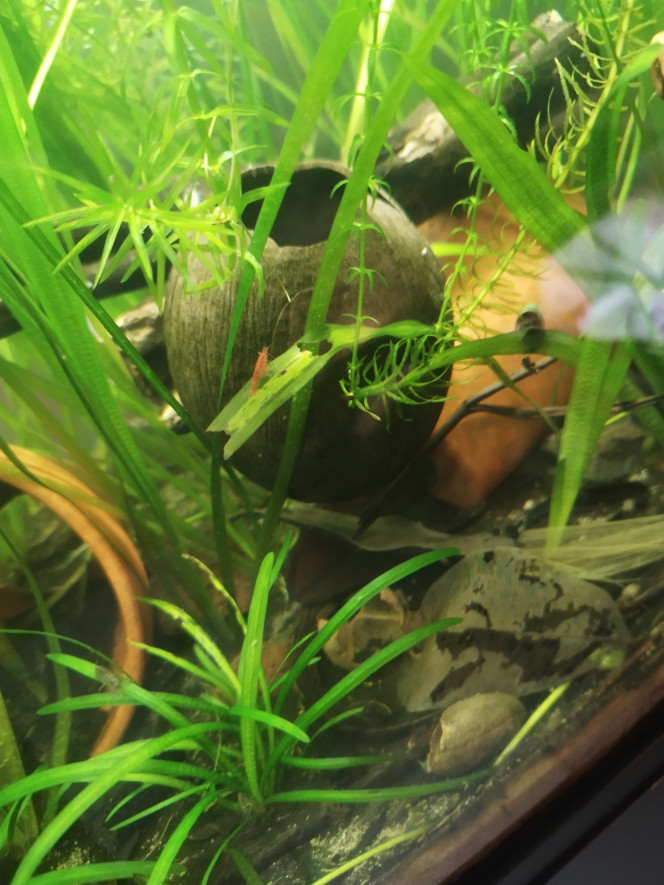 Photographie du post de Orion07 