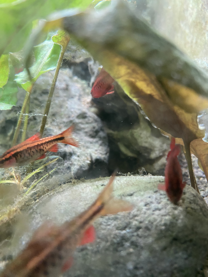 Photographie du post de Emma1234 