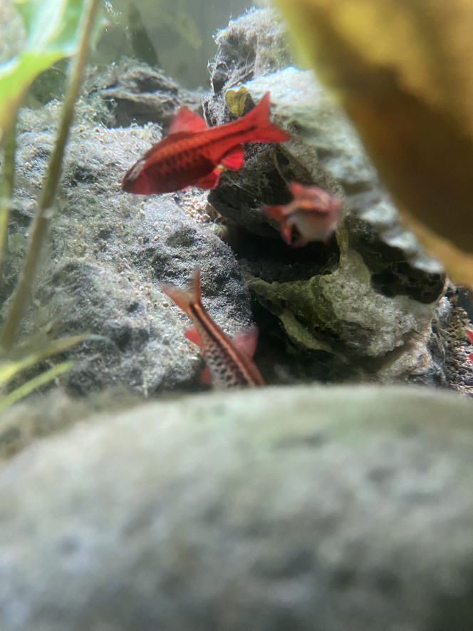 Photographie du post de Emma1234 