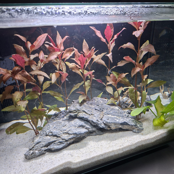 Photographie du post de Louka5 