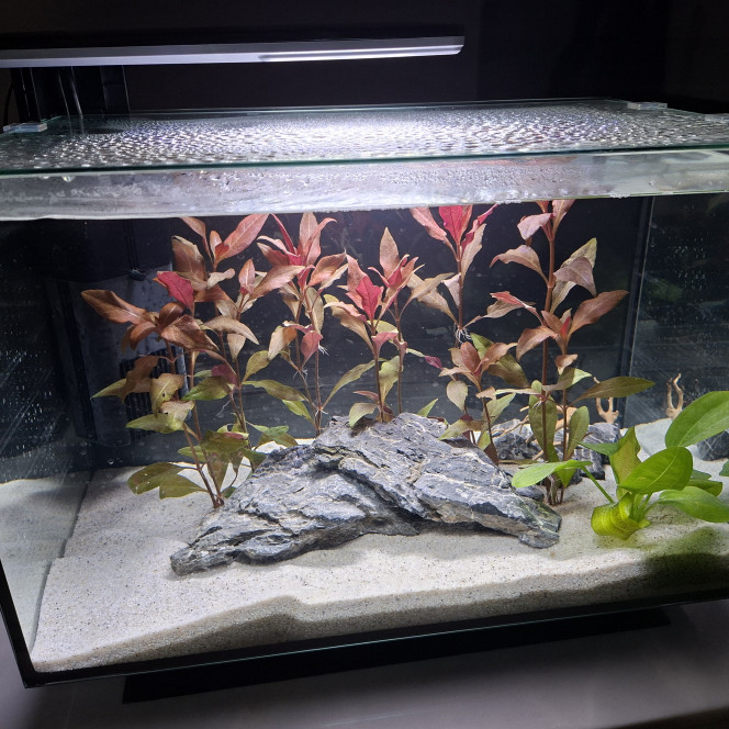 Photographie du post de Louka5 