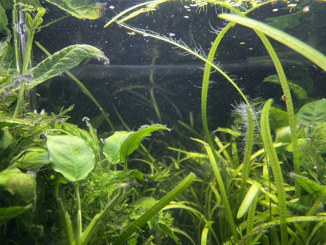 Photographie du post de Molac 