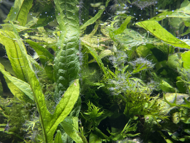 Photographie du post de Molac 