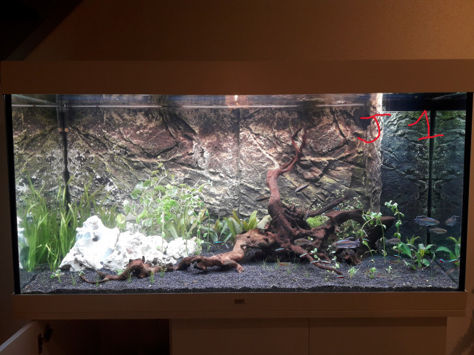 Photographie du post de jm25 