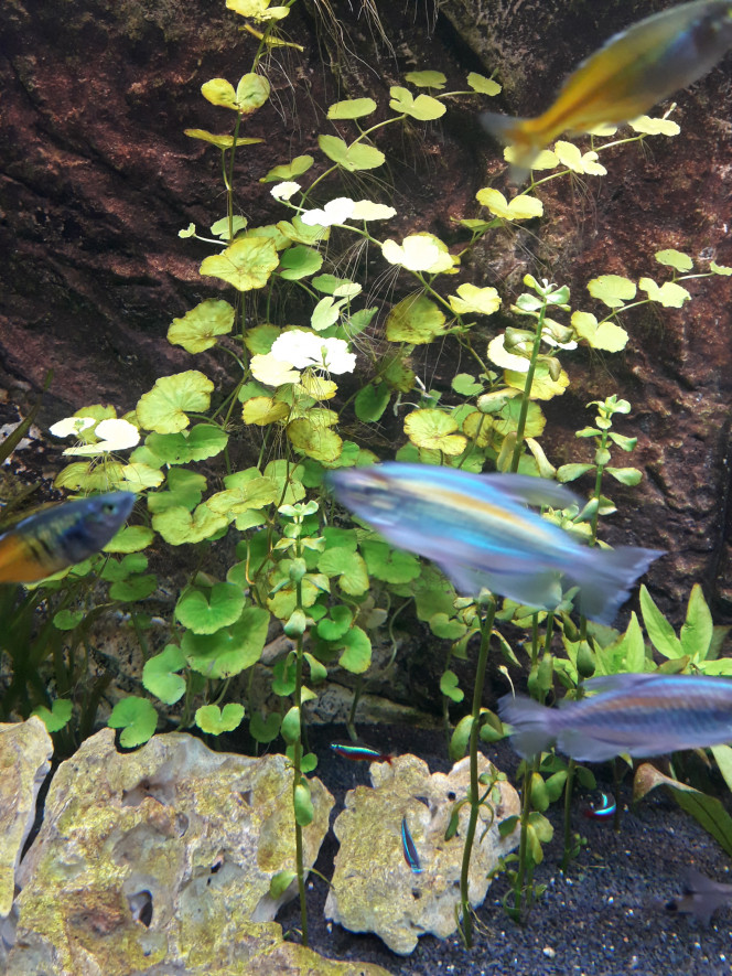 Photographie du post de jm25 