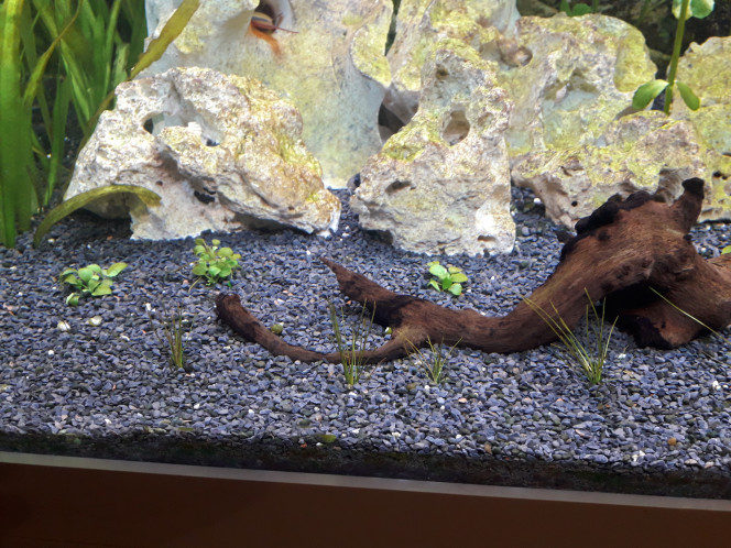 Photographie du post de jm25 