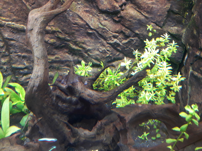 Photographie du post de jm25 