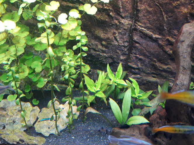 Photographie du post de jm25 