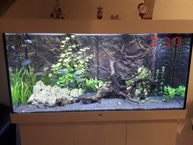 Photographie du post de jm25 