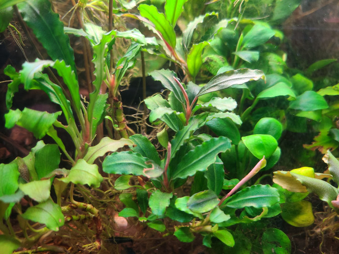 Photographie du post de laurent-galichet 