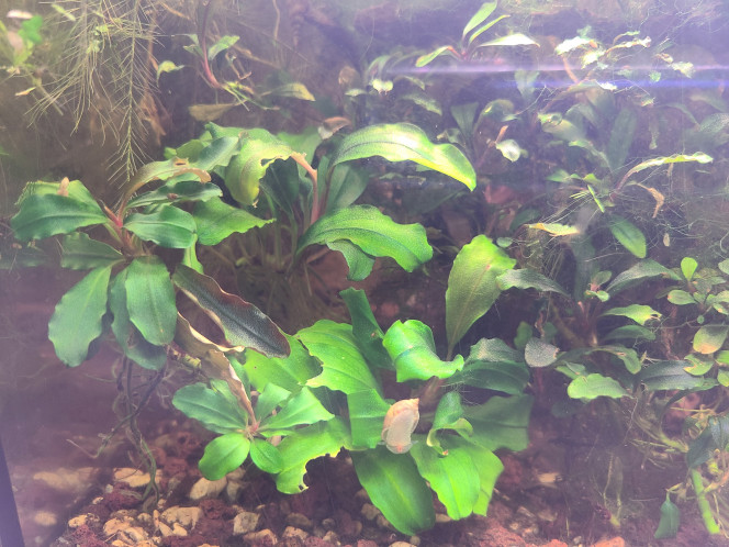 Photographie du post de laurent-galichet 