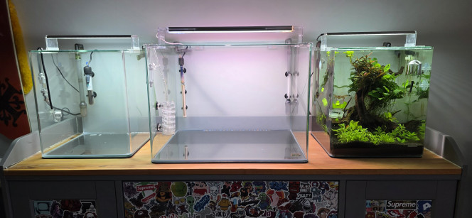 Photographie du post de boubou59 