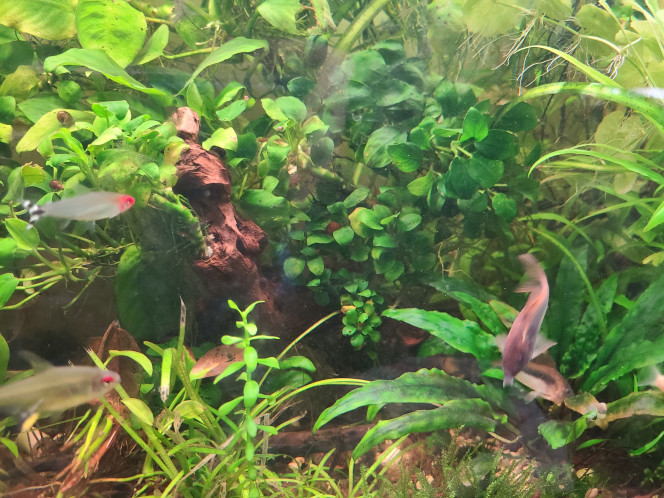 Photographie du post de laurent-galichet 