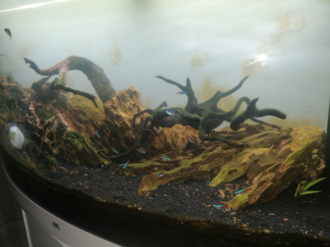 Photographie du post de Barbu62 