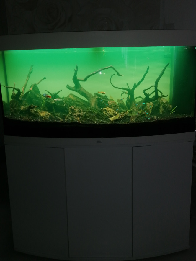 Photographie du post de Barbu62 