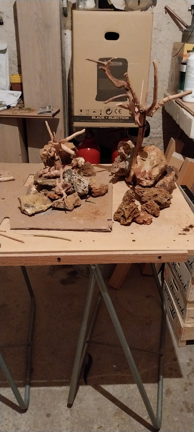 Photographie du post de STK54 