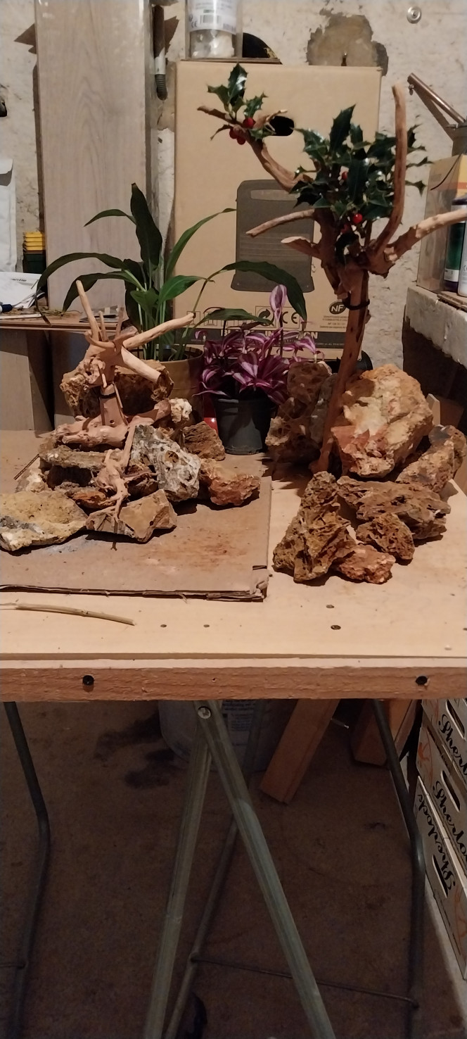 Photographie du post de STK54 