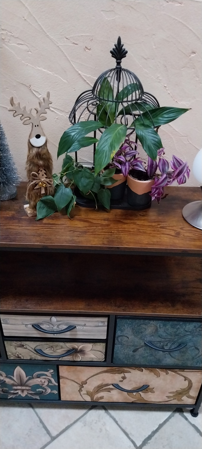 Photographie du post de STK54 