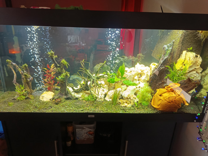 Photographie du post de Jfg22 