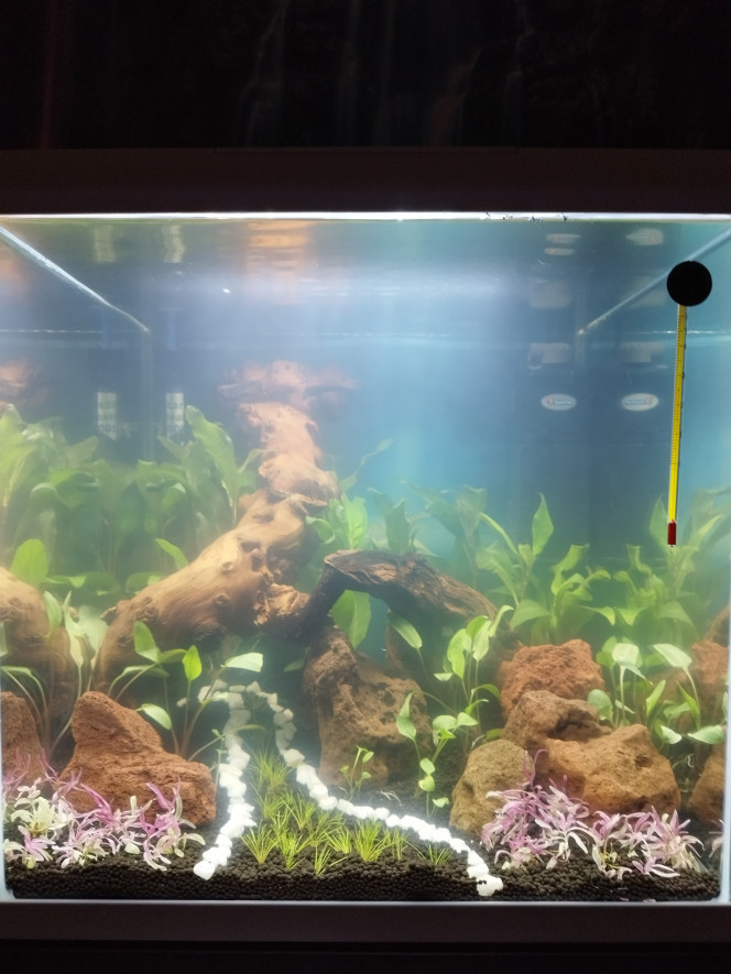 Photographie du post de Lgn02 