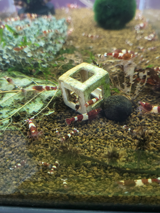 Photographie du post de Tedd80 